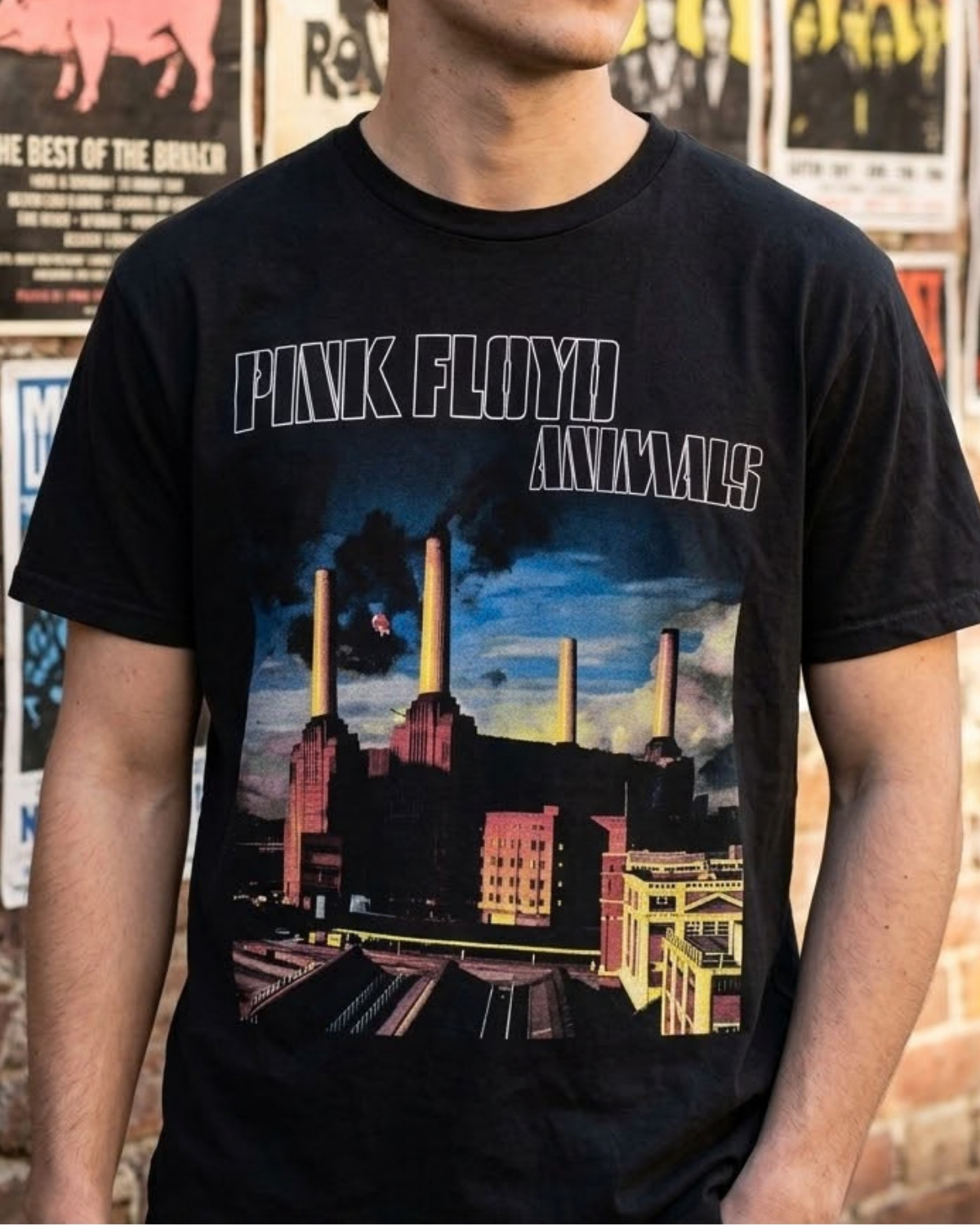 Polera Pink Floyd Animals